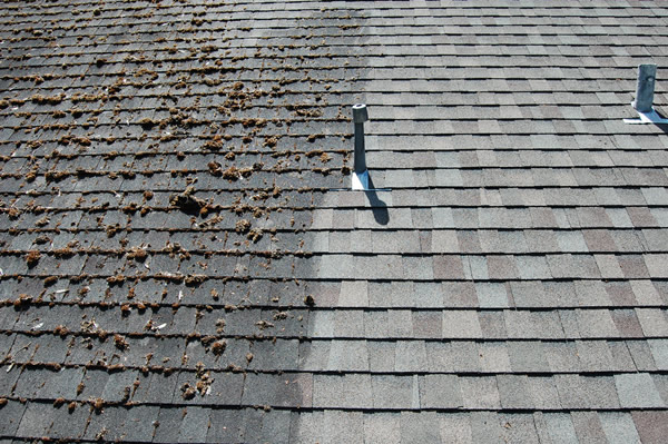 Roof Cleaning Before and After